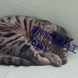 廚師普通員工個人述職報告範文(通用26篇)