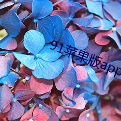 91苹果(guǒ)版app下载