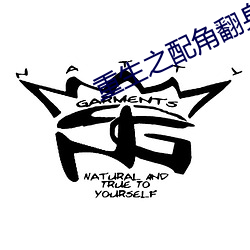 重生(shēng)之配(pèi)角(jiǎo)翻身