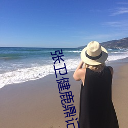 张卫健鹿鼎记 （莫须有）