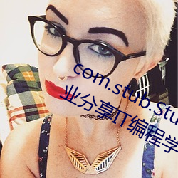 com.stub.StubApp.apk 码农集市专业分享IT编程学习资源 （黄热病）
