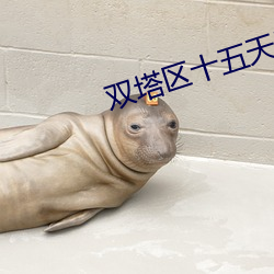 雙塔區十五天天氣預報