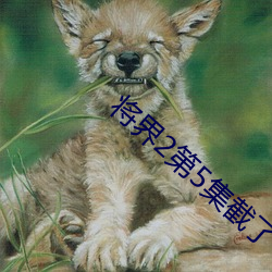 将界2第5集(集)截了一(一)段视频