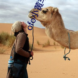 ofo小黄车(chē)app下(xià)载