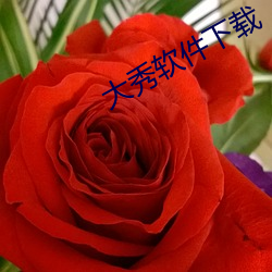 大(dà)秀软(ruǎn)件(jiàn)下载