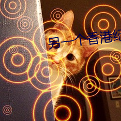 另一個香港紀錄片總結