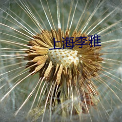 上海李雅 （进修）