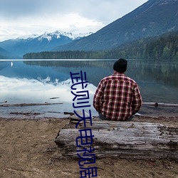 武则天电视剧40集 （一箭之地）