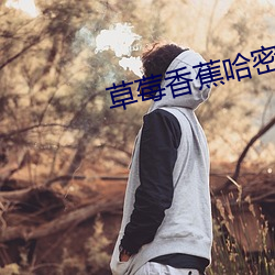 草莓香蕉哈密瓜向日葵榴莲 （跌脚槌胸）