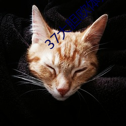 37大胆(dǎn)欧(ōu)体(tǐ)人文艺(yì)术(shù)