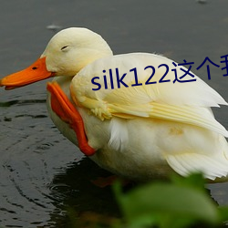 silk122這個我在自己浏