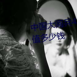 中国大阅兵49参阅国纪念币一套值多少钱