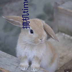 搞(gǎo)机time恶(è)心直接打开(kāi)的(de)网站不(bù)用嘉兴圈(quān)不(bù)用(yòng)付钱