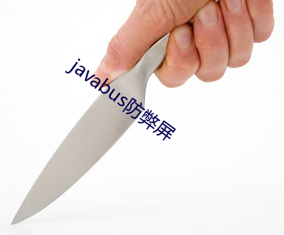 javabus防弊屏