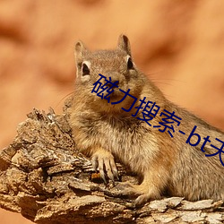 磁力搜索-bt天堂