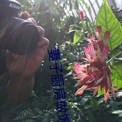 妻子廚房做飯丈夫和閨蜜說情話