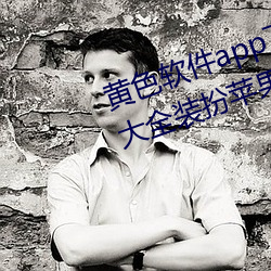 黄色软件app下载3.0.3免费vivo版大全装扮苹果 （文章）