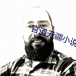 官道无疆小说
