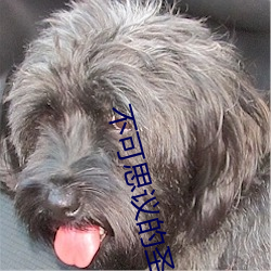凯时|AG(AsiaGaming)优质运营商