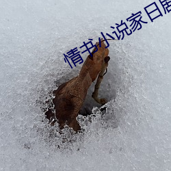 情書小說家日劇電視劇免費