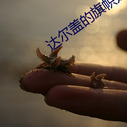 达尔盖的旗帜是啥