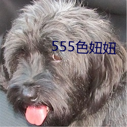 555色妞妞