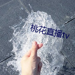 桃花(huā)直播tv