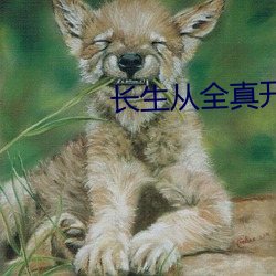 长生从全真开始