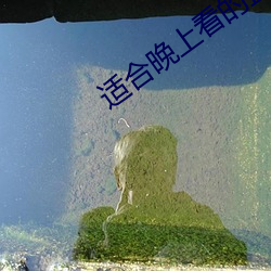 適合晚上看的直播app軟件