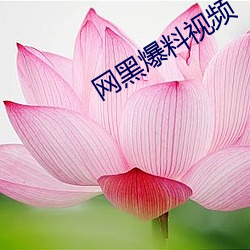 網黑爆料視頻
