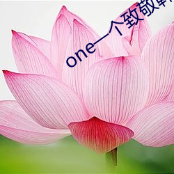 one一(yī)个致敬韩寒(hán)app下载