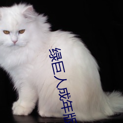 綠巨人成年版導航