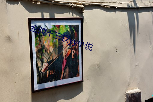 金(jīn)陵十三钗yy小(xiǎo)说(shuō)