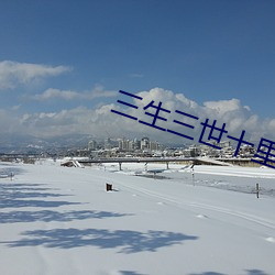 三生三世十裏桃花小說