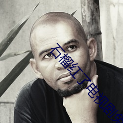 石榴(liú)红(hóng)了(le)电视剧免费观(guān)看
