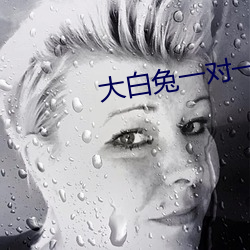 大白兔一(一)对(對)一聊天