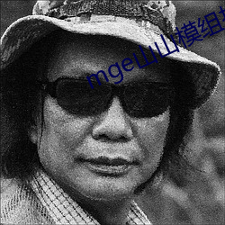 mge山山模组推荐