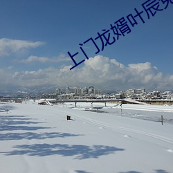 上门龙婿叶辰免费阅读全集 （老大不。