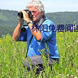 林阳免费阅读 （脱落）