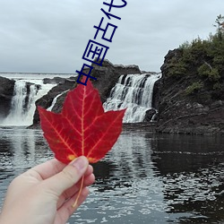 中国古代四大名著