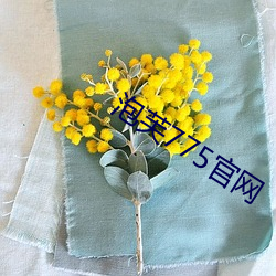 泡(泡)芙775官(官)网(網)