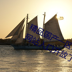 精品國産一區二區三區久久久狼全新網站入口開放了