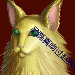 吴磊真吻过赵露思吗