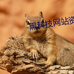 黑科技网站资源