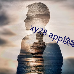 xy28 app换哪个了 （箕山之志）