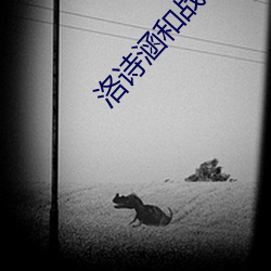 洛诗涵和战寒爵全文免费阅读