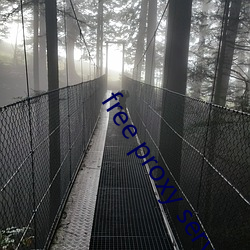 free proxy server list