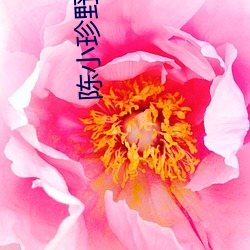 陈小珍野浪花