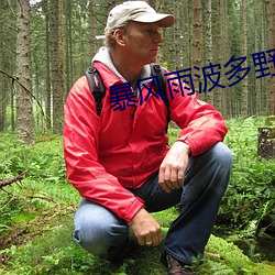 暴风雨波多野结衣铃木一彻