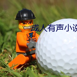 成人有聲小說